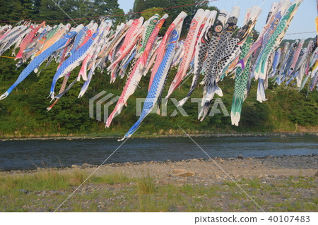 Sagami River Koinobori Sagami River Koinobori 40107483