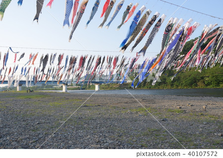 Sagami River Koinobori Sagami River Koinobori 40107572