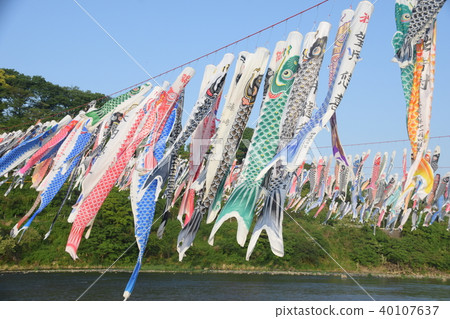 Sagami River Koinobori Sagami River Koinobori 40107637