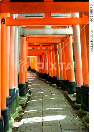 Fushimi Inari Taisha Shrine beautiful torii gate Fushimi Inari Taisha Shrine beautiful torii gate 40109979