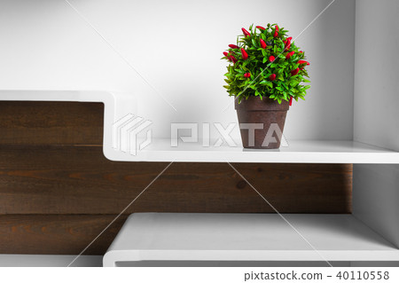 white shelves and green plant in pot white shelves and green plant in pot 40110558