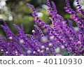 Gorgeous flower with light 40110930