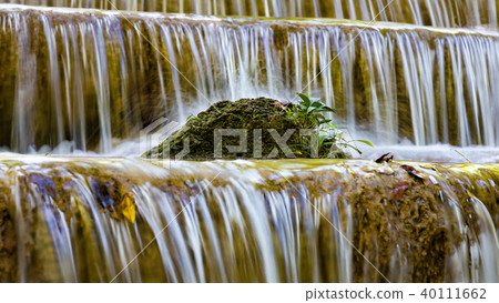 Close up little plan over stream waterfall Close up little plan over stream waterfall 40111662