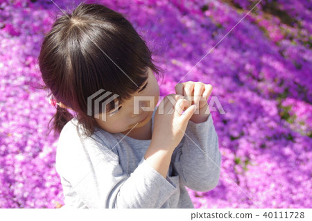 Four-year-old girl in the flower garden of Shizakura 40111728