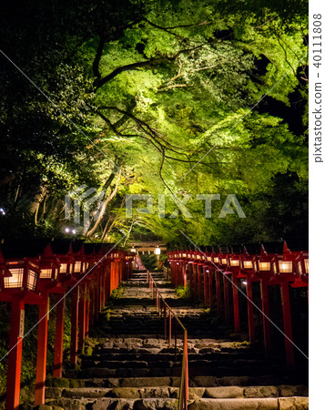 Vertical composition of the stairs of Kifune Shrine in Kyoto, where the fresh green light is beautiful 40111808