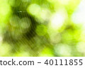 Morning dew. Shining water drops on spider web 40111855