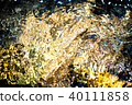 golden yellow blurry abstract water background 40111858