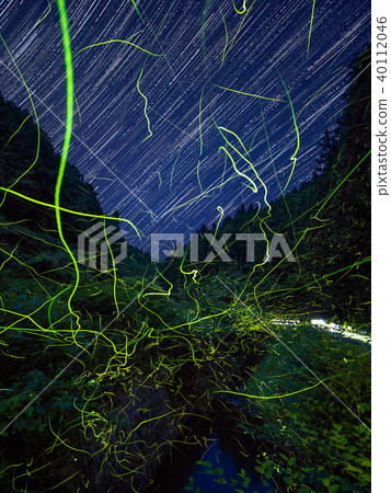 Competition of fireflies and star trails in Kinokawa city, Wakayama prefecture 40112046
