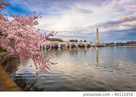 Washington DC in Spring 40112858
