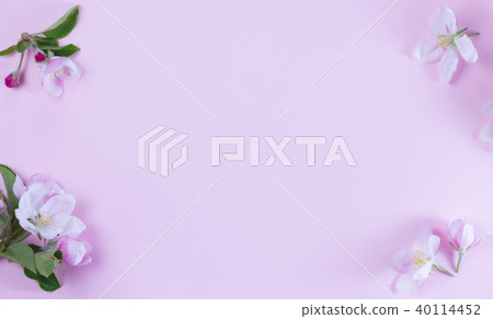 Spring tree flowers 40114452