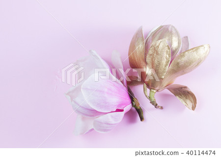 Magnolia Flowers on pink Magnolia Flowers on pink 40114474