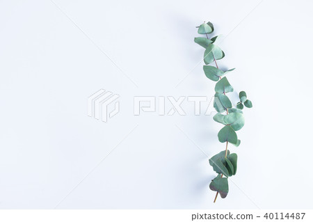 Green floral composition 40114487