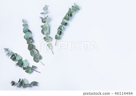 Green floral composition 40114494