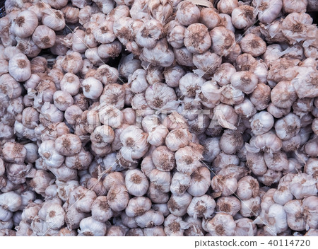Bunch of fresh garlic sold at the farm. Bunch of fresh garlic sold at the farm. 40114720