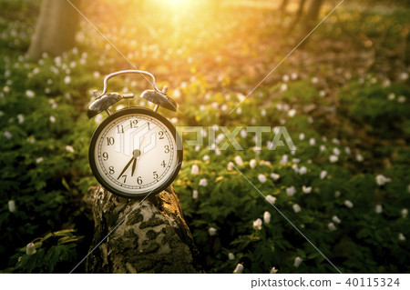 Alarm clock in the sunrise over a forest 40115324