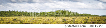 Panorama landscape of a prairie 40115355
