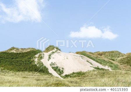 Beach dunes on a Scandinavian coast in the summer Beach dunes on a Scandinavian coast in the summer 40115393