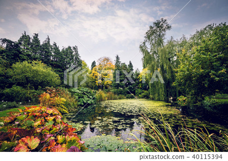 Garden pond with various plants in beautiful Garden pond with various plants in beautiful 40115394