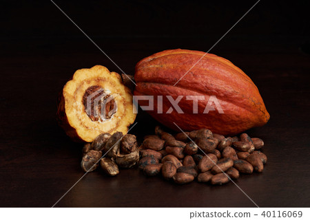 Main ingredient for chocolate Main ingredient for chocolate 40116069