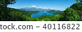 Panoramic view of Lake Bled, Slovenia. Panorama 40116822