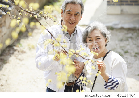 Life, old couple, husband, wife, together Life, old couple, husband, wife, together 40117464