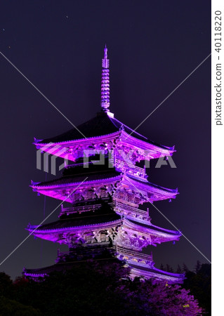 Bikan Kokubunji Light Up 40118220