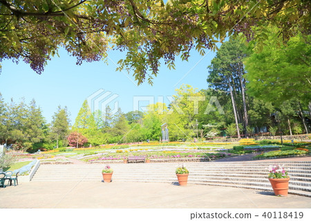 新鮮的綠色植物園 40118419