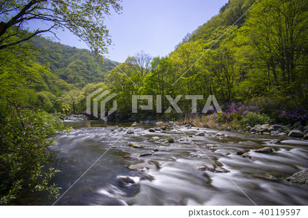 山,谷,Jiri,Namwon,Jeonbuk 山,谷,Jiri,Namwon,Jeonbuk 40119597