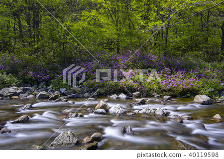 山,谷,Jiri,Namwon,Jeonbuk 山,谷,Jiri,Namwon,Jeonbuk 40119598
