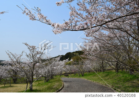 柳川壩公園 柳川壩公園 40120108
