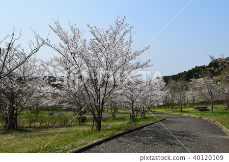 柳川壩公園 柳川壩公園 40120109