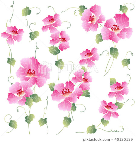 Japanese flower illustrations, Japanese flower illustrations, 40120159
