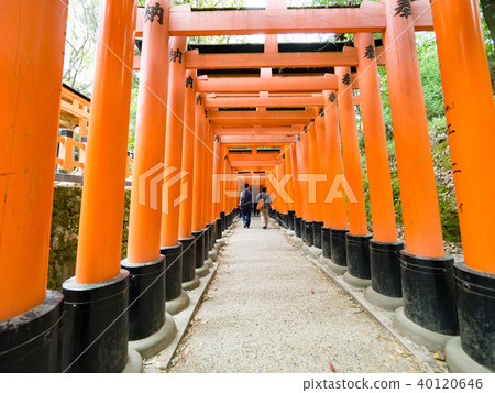 Torii tunnel Torii tunnel 40120646
