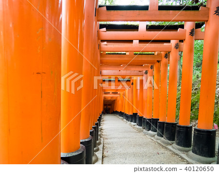 Torii tunnel 40120650