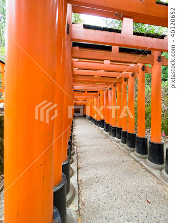 Torii tunnel 40120652
