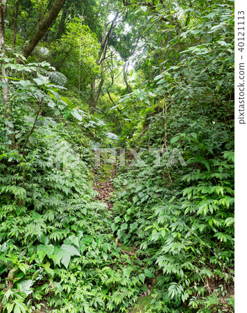 Yangmingshan Yangmingshan 40121113