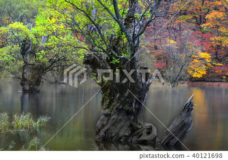 秋天的風景 40121698