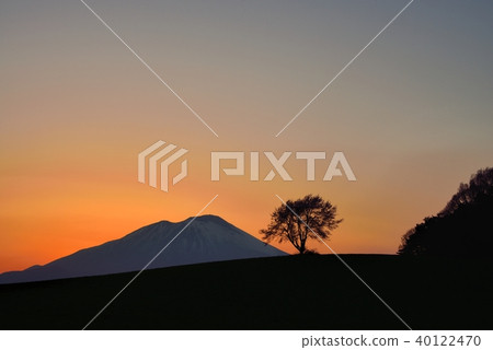 一種用金色和岩手山染成的櫻桃 一種用金色和岩手山染成的櫻桃 40122470