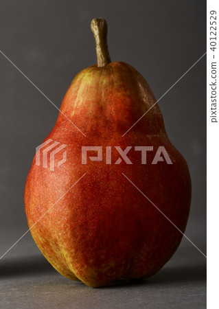 Red Pear on grey background 40122529