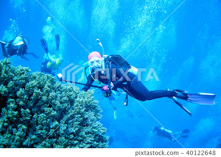 scuba driving scuba driving 40122648