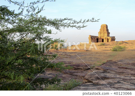Temple viewed through Bush 40123066