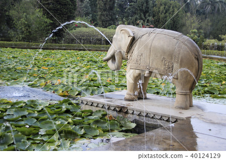 Elephant, Foliage and Fountains Elephant, Foliage and Fountains 40124129