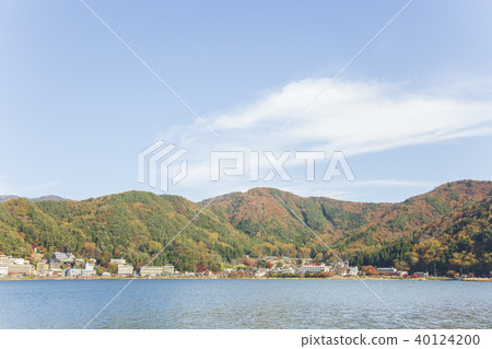 Lake Kawaguchiko Autumn leaves 40124200