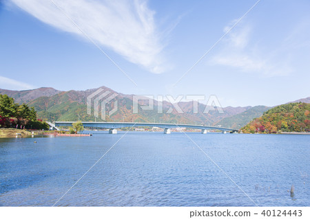 Lake Kawaguchiko Autumn leaves 40124443