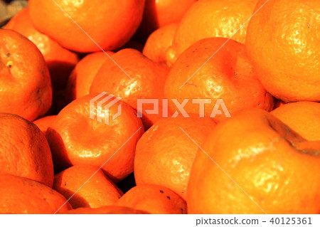 Fresh, Plump Orange Fruits Fresh, Plump Orange Fruits 40125361