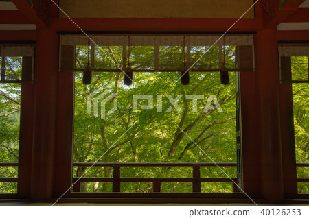 Shirasan神社的新鮮綠色 40126253