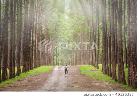 Photographer takes photos with a camera  40126355