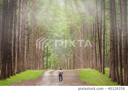 Photographer takes photos with a camera Photographer takes photos with a camera 40126356