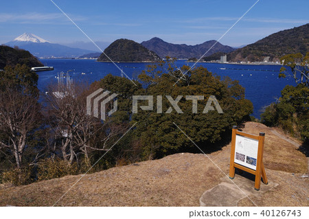 [National Historic Site] Uchiura Bay, Mount Fuji seen from Nagahama Castle ruins (Izukuni) 40126743