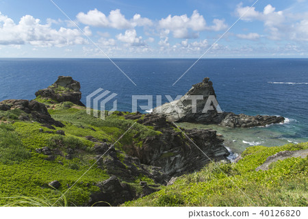 岡崎（石垣島） 40126820